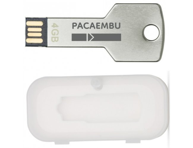 PEN DRIVE CHAVE NA CAIXINHA  - DEC F249